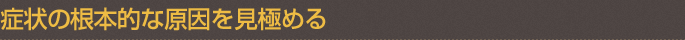 症状の根本的な原因を見極める